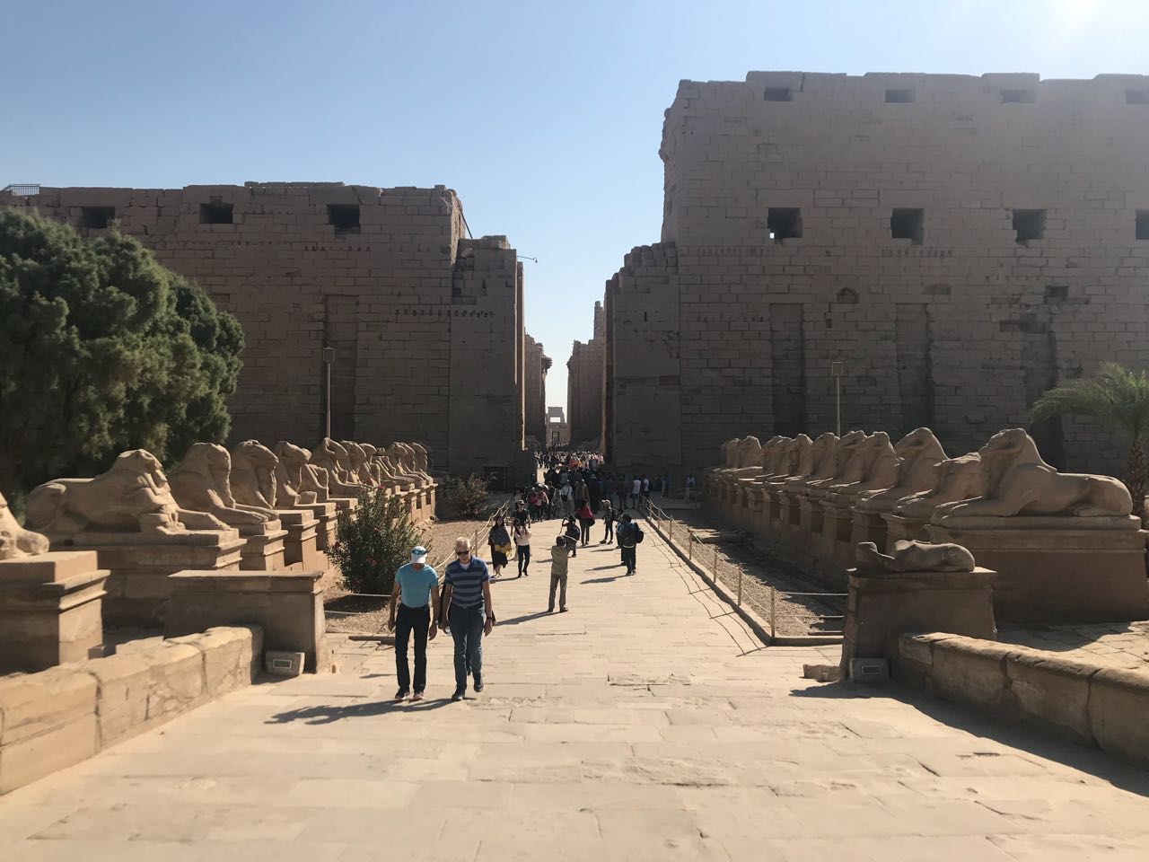 Click to open image!