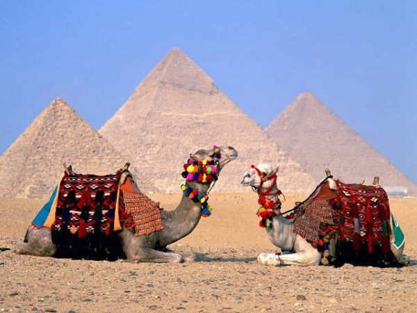Pyramids,Museum and Khan El Khalili from Alexandria