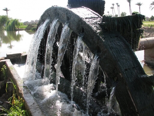 Day Trip to Fayoum Oasis from Cairo