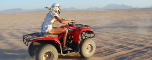 Quad Bbiking with Camel ride and Bedouin Tea Tour